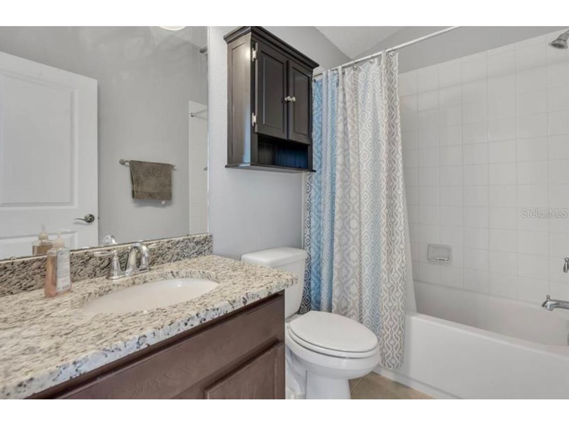 4392 Vermillion Sky Drive Wesley Chapel FL 33544 O6350766 image32