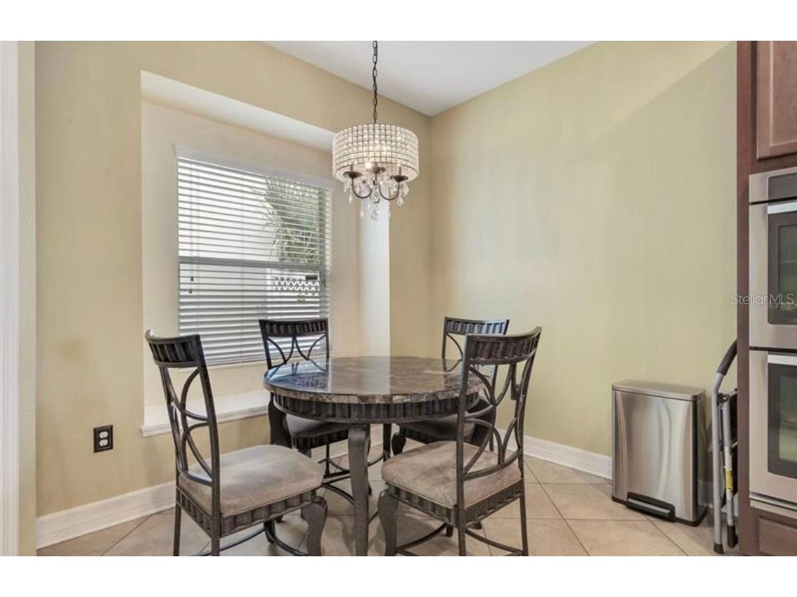 4392 Vermillion Sky Drive Wesley Chapel FL 33544 O6350766 image9