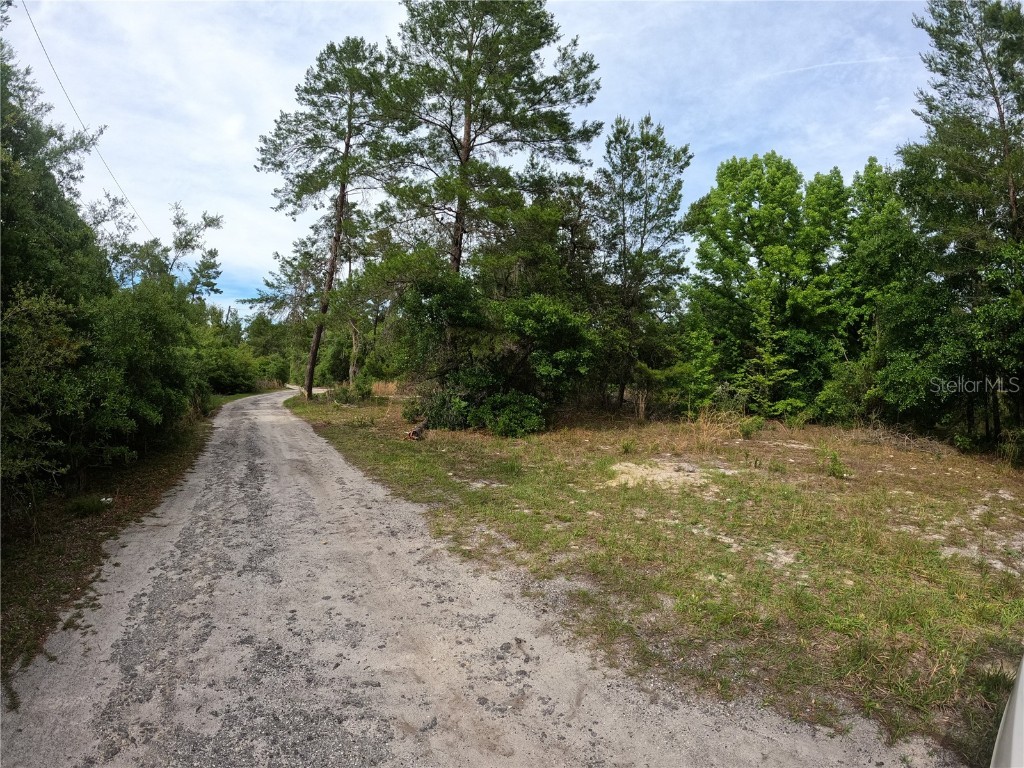 43928 Sterling Road Paisley FL 32767 G5080266 image1