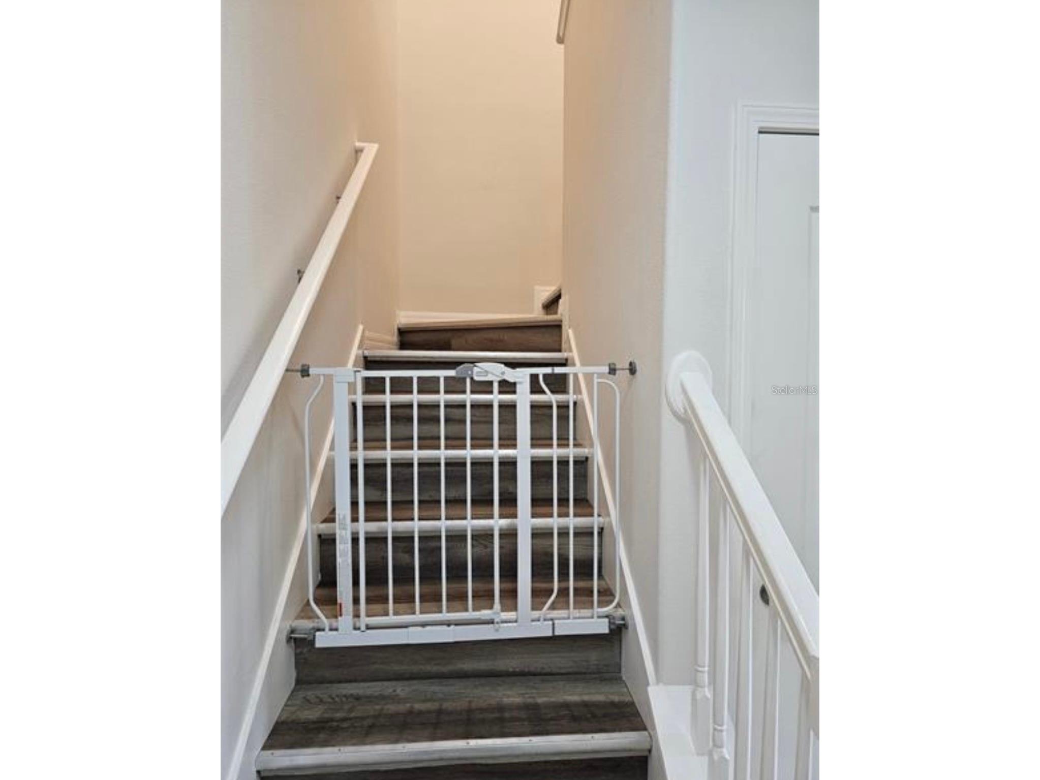 4393 Fennwood Ct Wesley Chapel FL 33543 TB8486968 image16