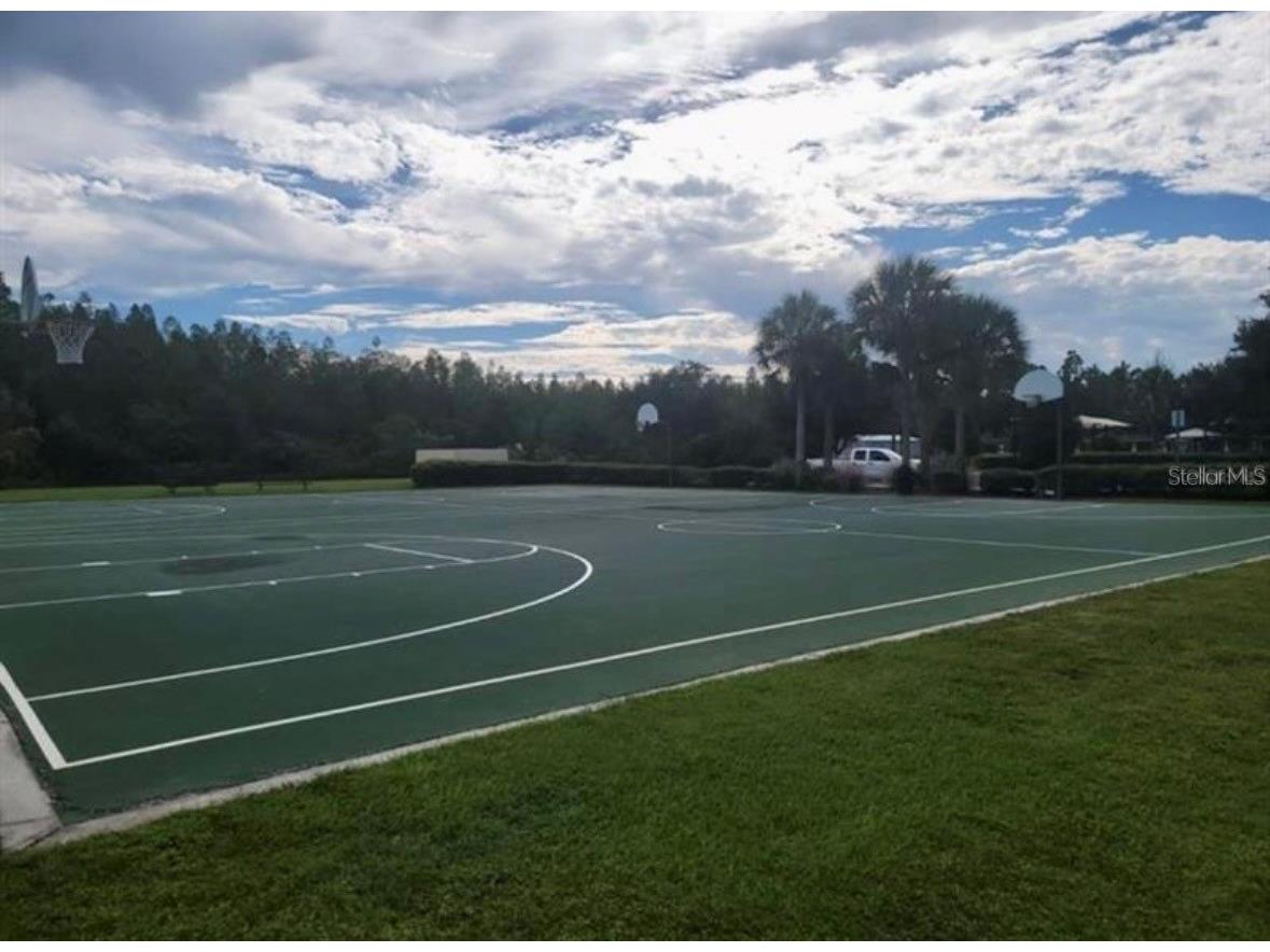 4393 Fennwood Ct Wesley Chapel FL 33543 TB8486968 image26