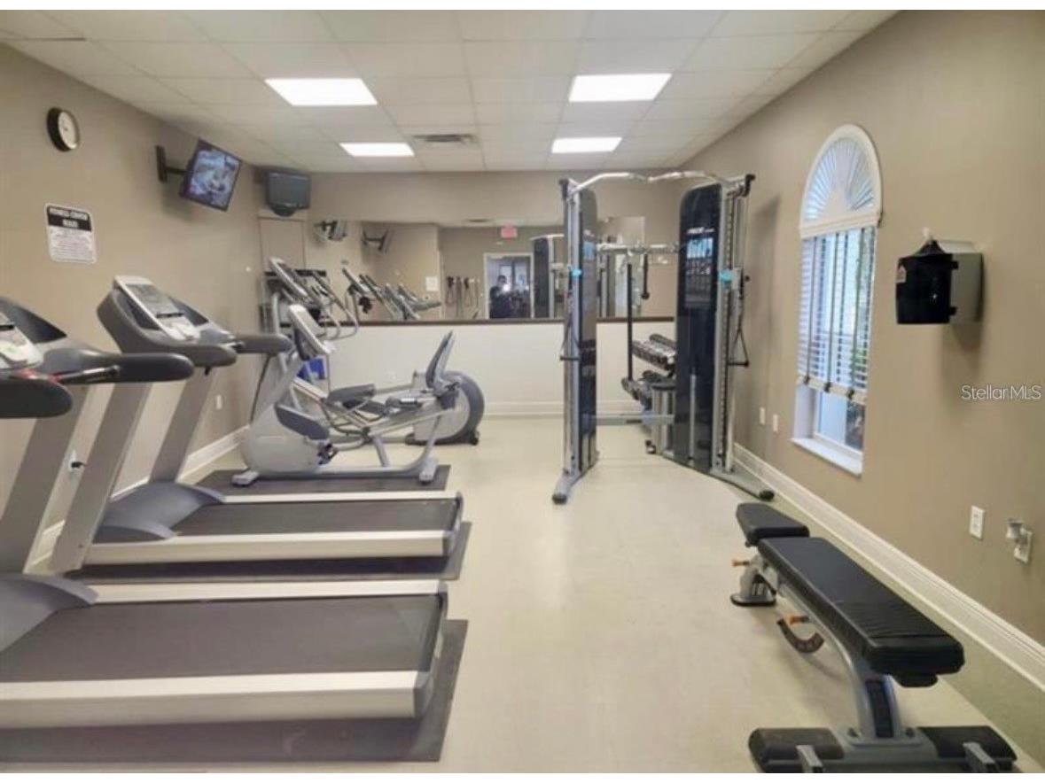 4393 Fennwood Ct Wesley Chapel FL 33543 TB8486968 image27