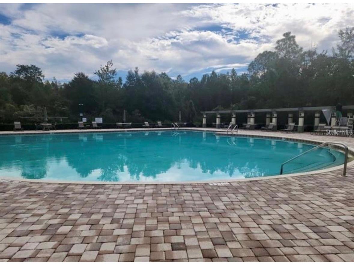 4393 Fennwood Ct Wesley Chapel FL 33543 TB8486968 image29
