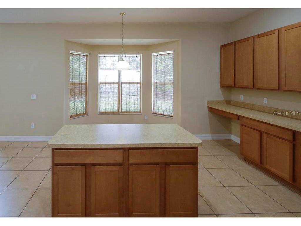 4394 Edenrock Place Spring Hill FL 34609 W7877438 image25