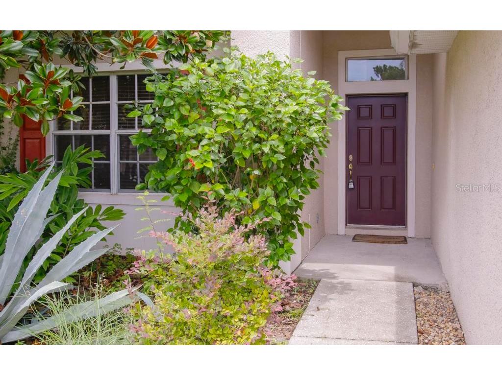 4394 Edenrock Place Spring Hill FL 34609 W7877438 image5