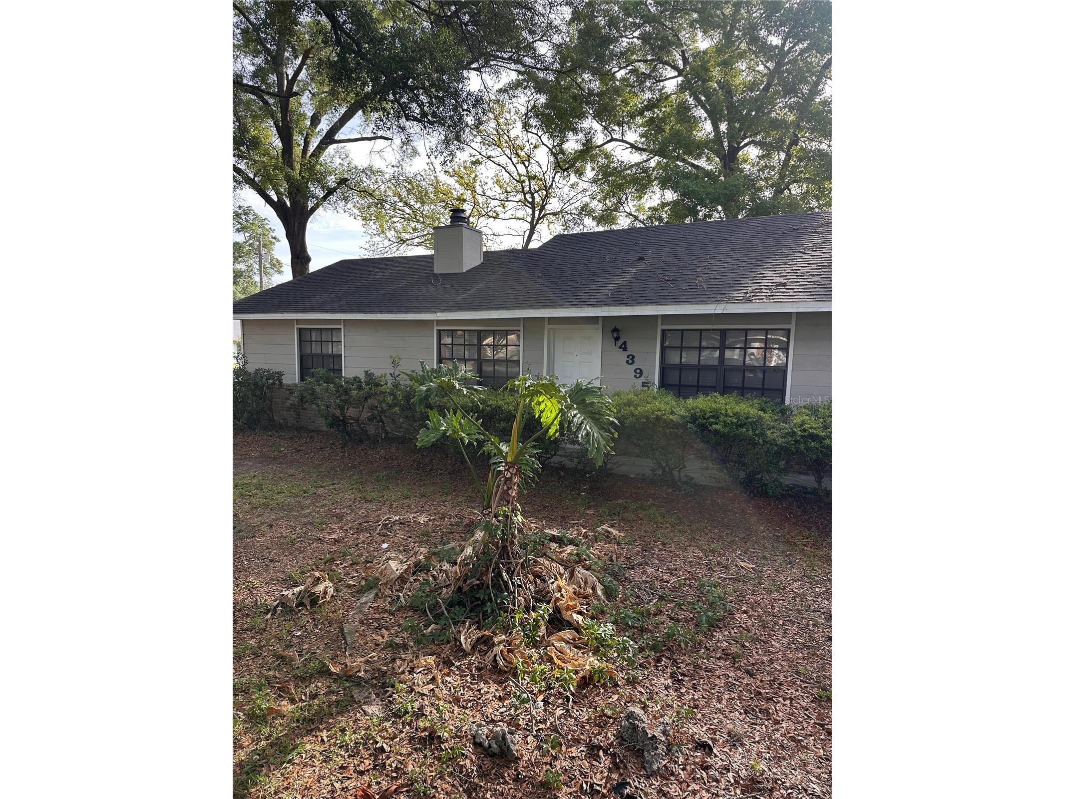 4395 NE 33rd Avenue Ocala FL 34479 S5148010 image2