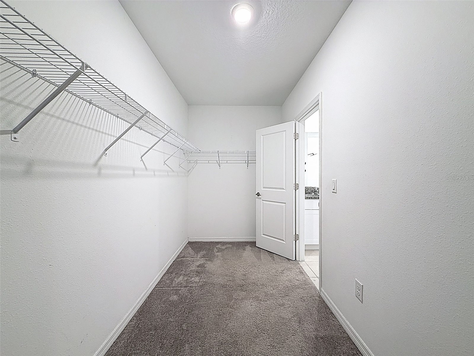 4395 Trotters Way Lakeland FL 33805 P4935713 image21