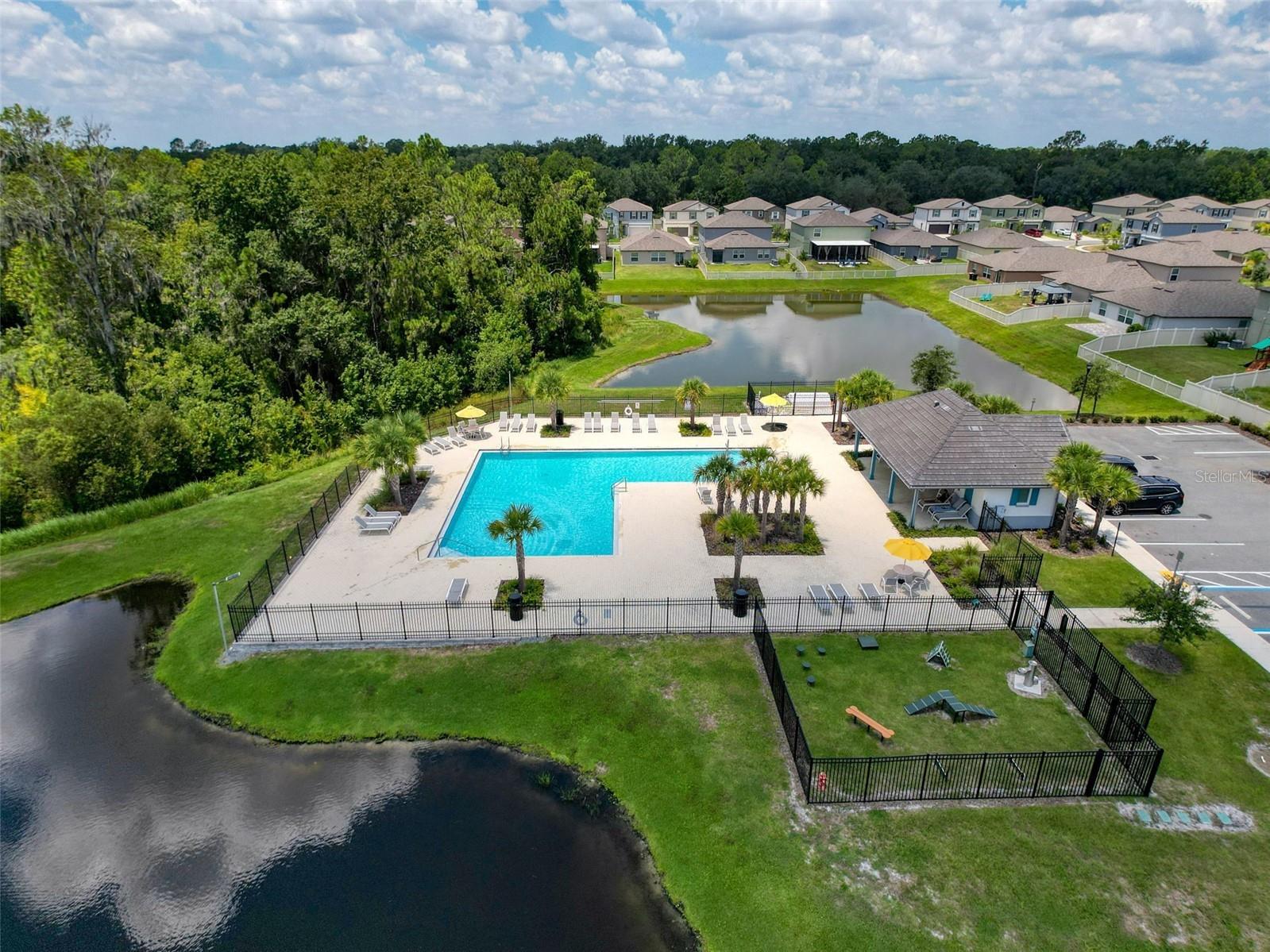 4395 Trotters Way Lakeland FL 33805 P4935713 image4