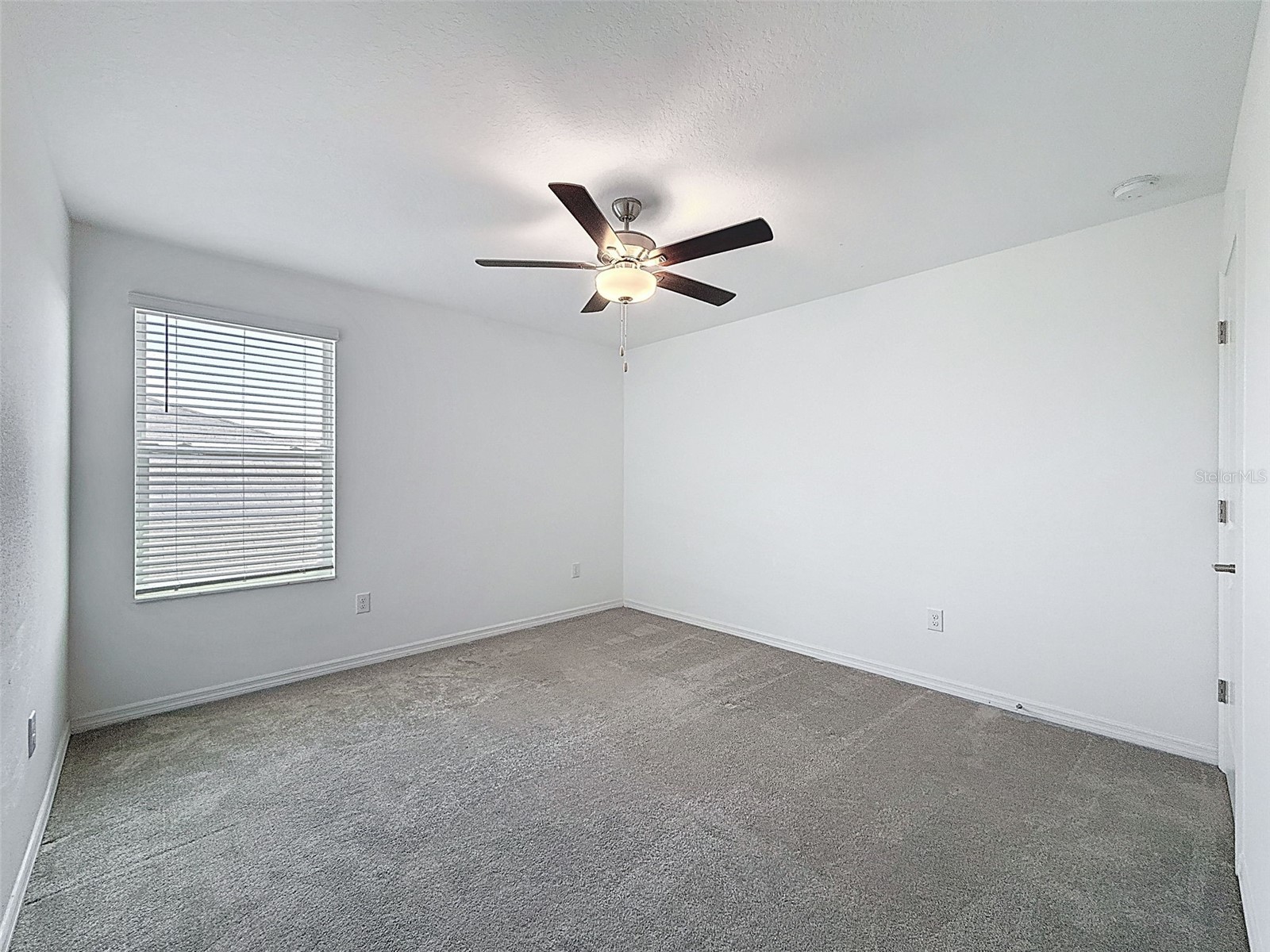 4395 Trotters Way Lakeland FL 33805 P4935713 image49