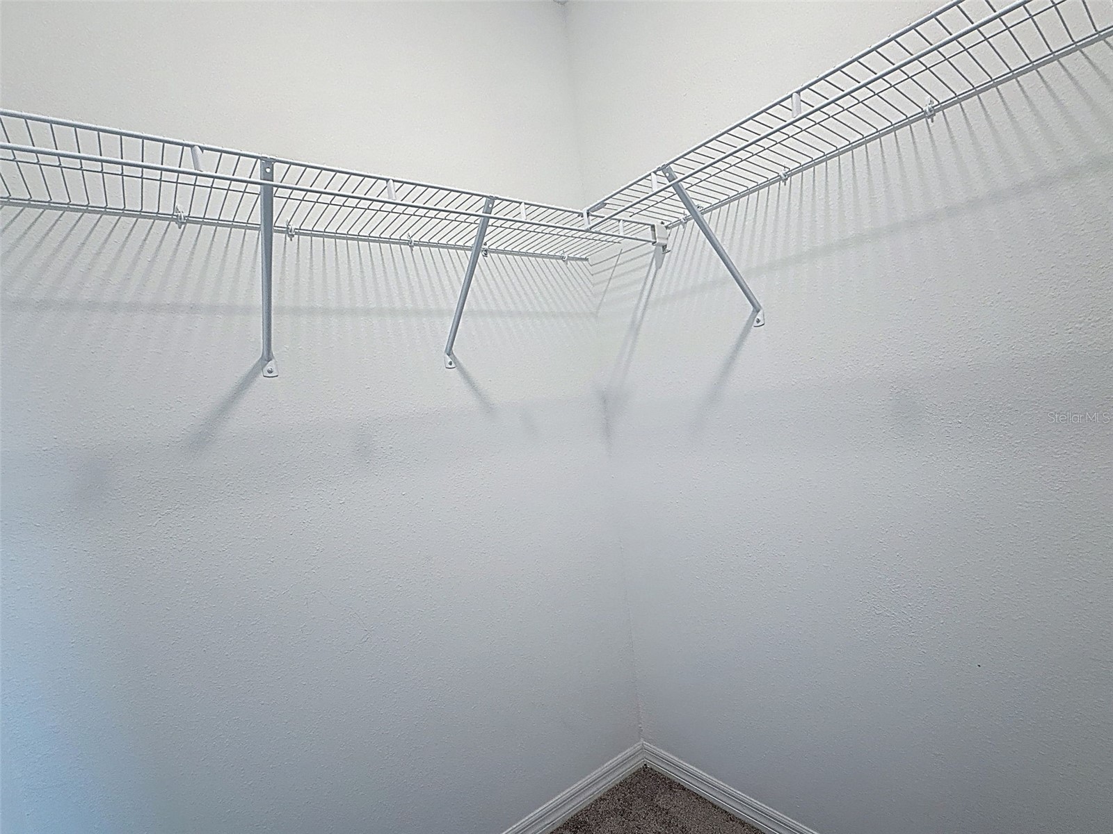 4395 Trotters Way Lakeland FL 33805 P4935713 image53