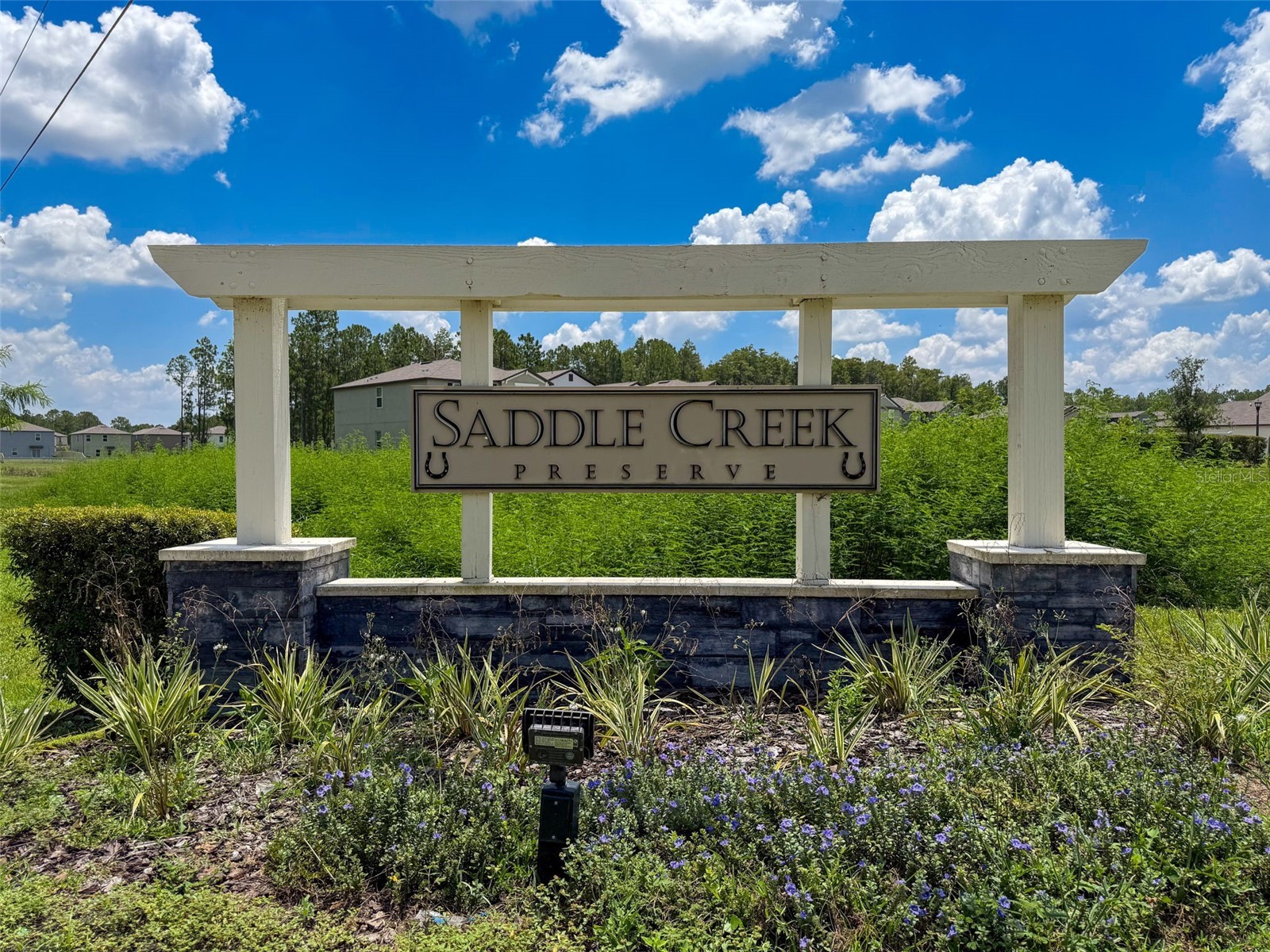 4395 Trotters Way Lakeland FL 33805 P4935713 image62