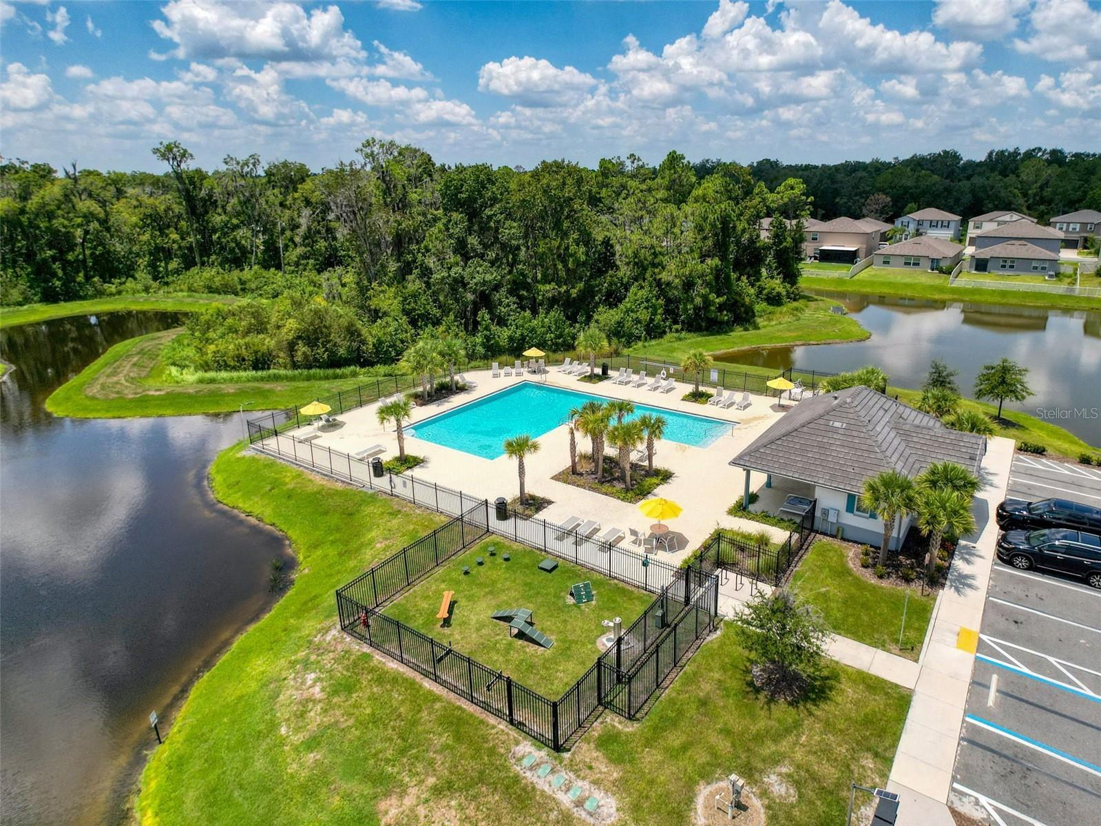 4395 Trotters Way Lakeland FL 33805 P4935713 image65