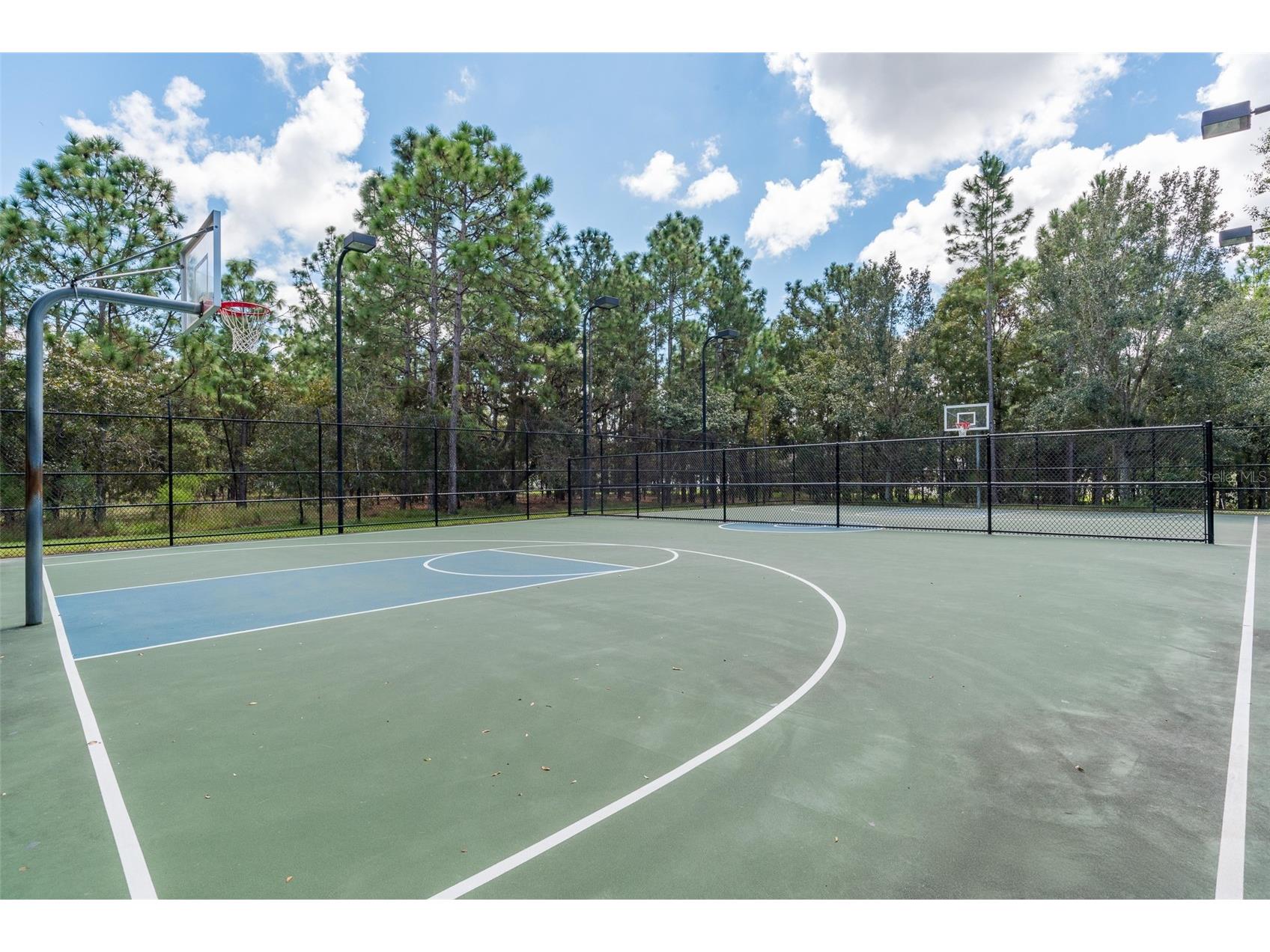 4396 Larkenheath Drive Spring Hill FL 34609 W7876976 image71