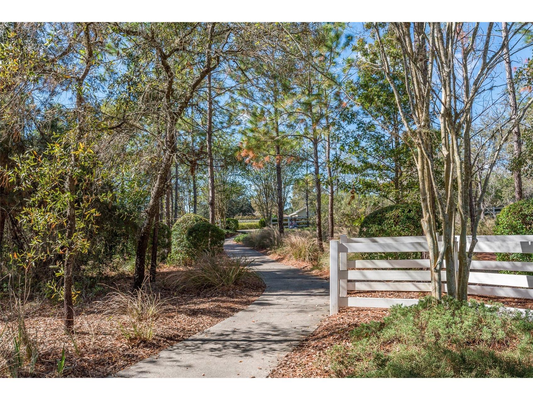 4396 Larkenheath Drive Spring Hill FL 34609 W7876976 image72