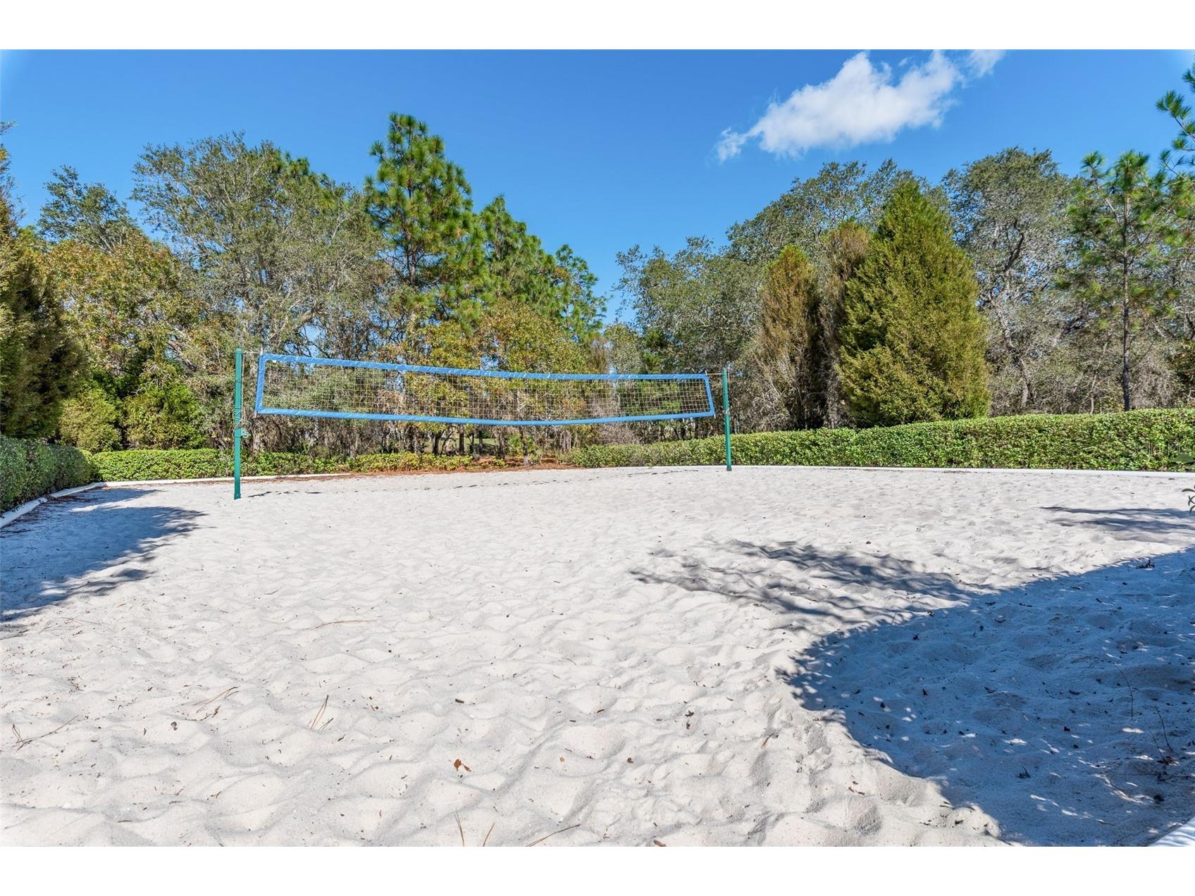 4396 Larkenheath Drive Spring Hill FL 34609 W7876976 image75