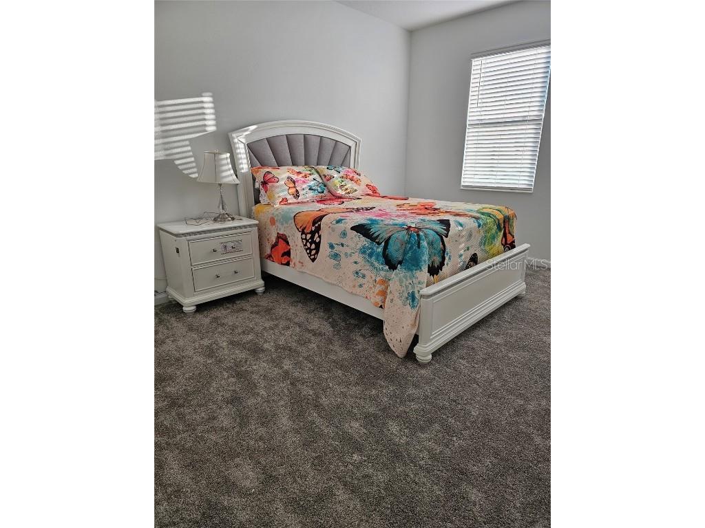 4396 Pebbles Throw Drive Kissimmee FL 34746 R4910150 image2