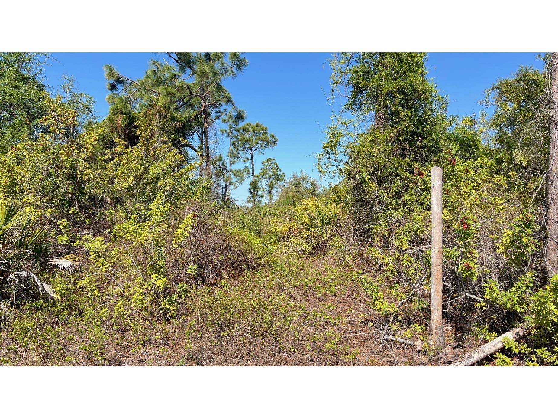 4397 Kennel Street Port Charlotte FL 33981 D6146767 image6