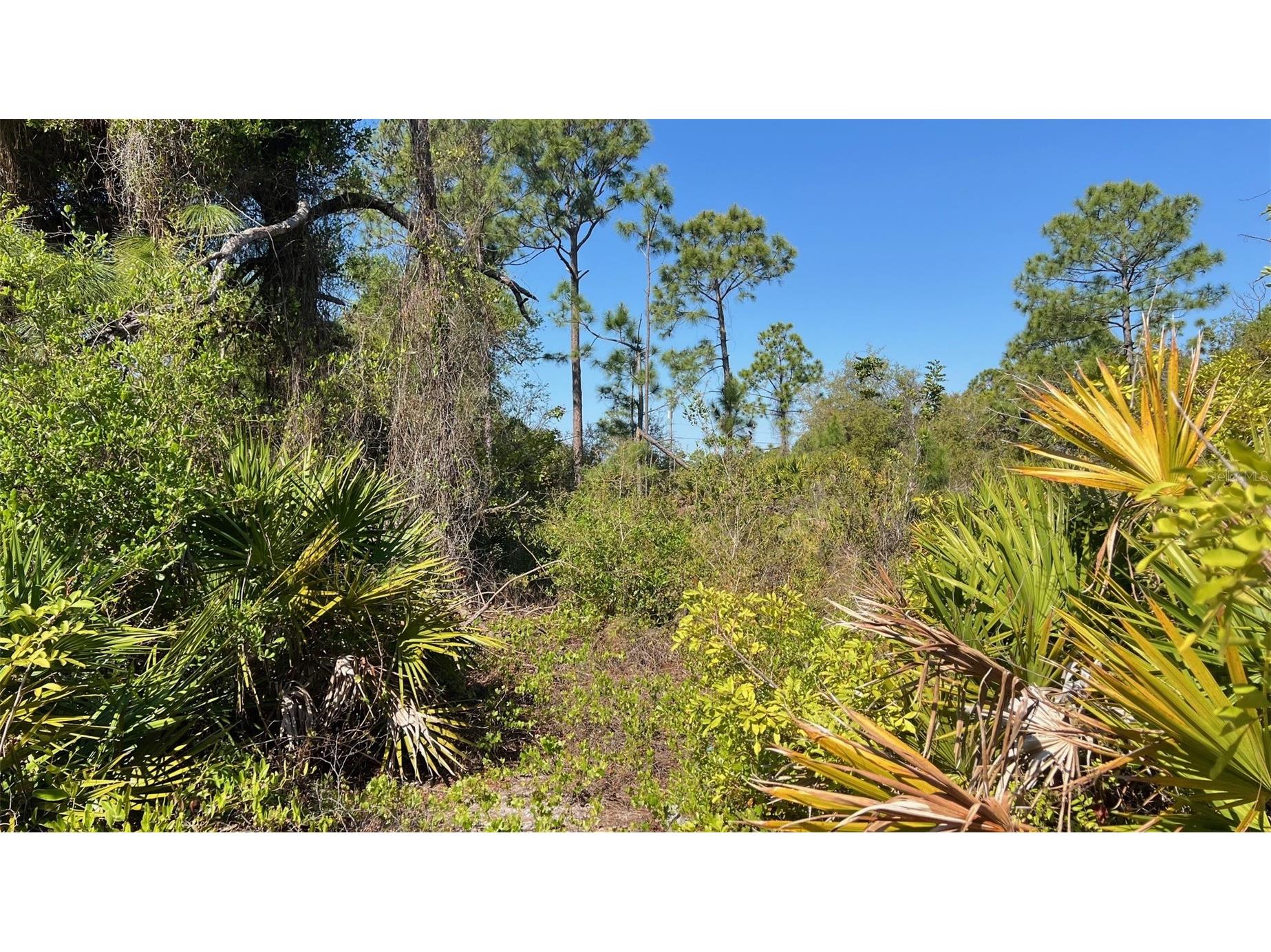 4397 Kennel Street Port Charlotte FL 33981 D6146767 image7