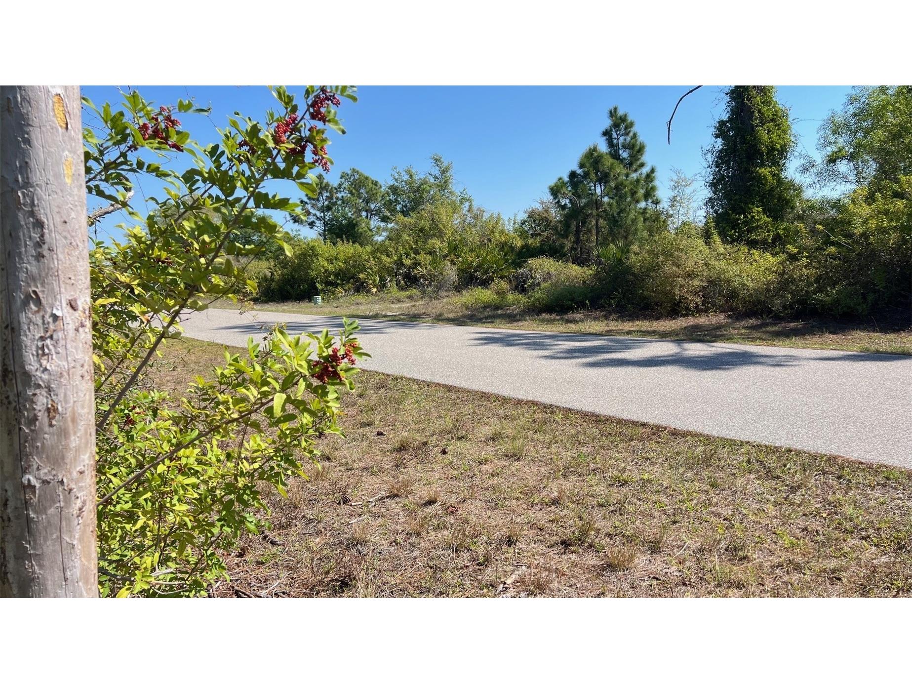 4397 Kennel Street Port Charlotte FL 33981 D6146767 image9