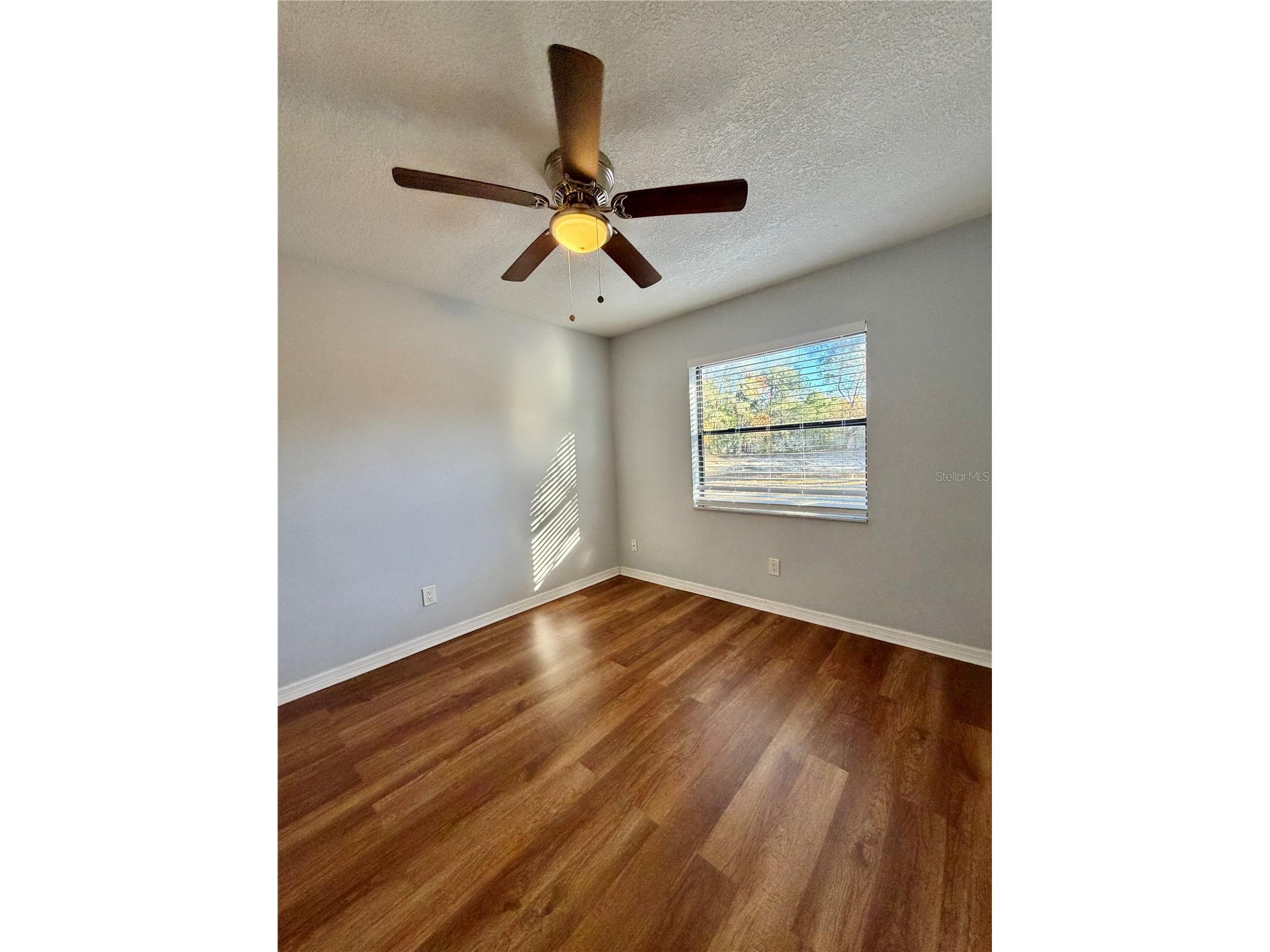 4398 Plumosa Street Spring Hill FL 34607 TB8464700 image23