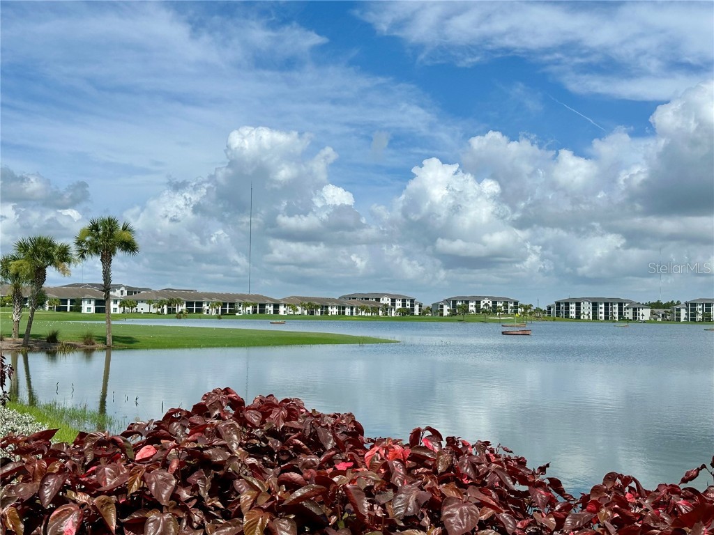 43996 Boardwalk Loop #1415 Punta Gorda FL 33982 D6143129 image76