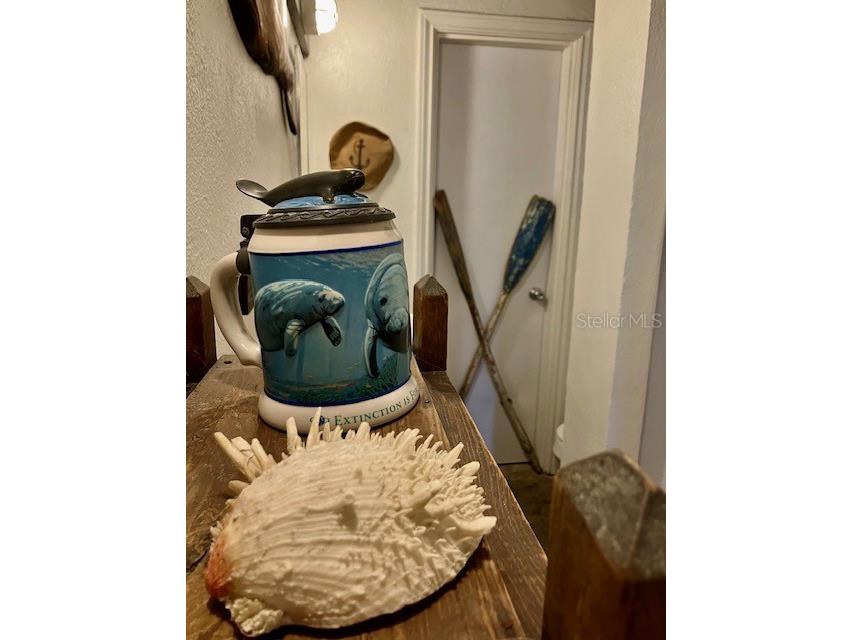 44 77th Avenue Treasure Island FL 33706 TB8392452 image18