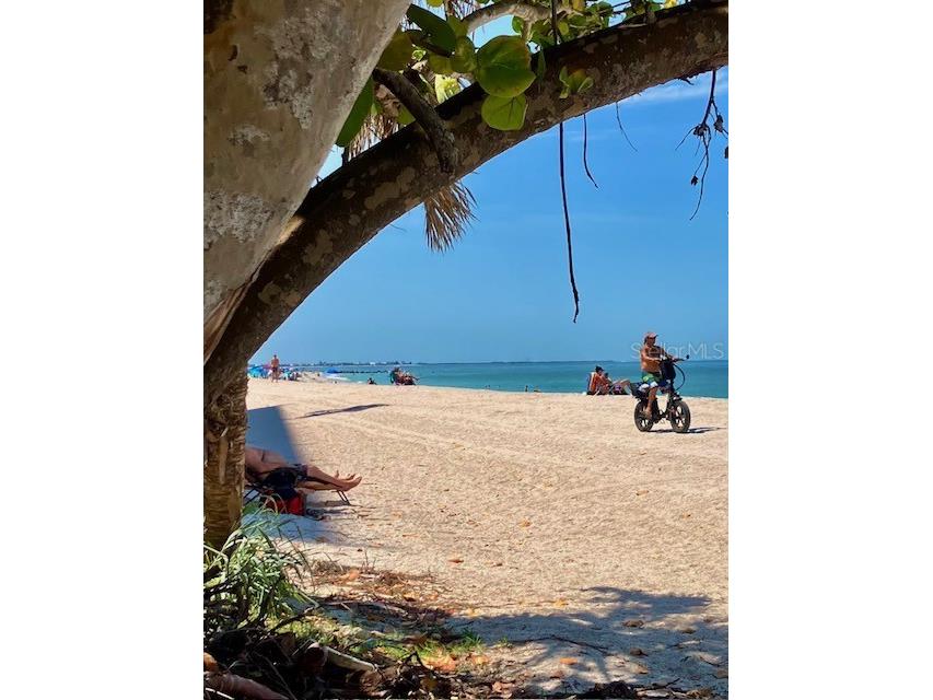 44 77th Avenue Treasure Island FL 33706 TB8392452 image29