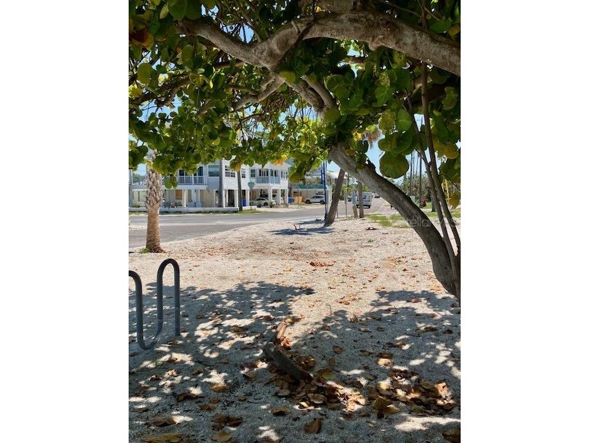 44 77th Avenue Treasure Island FL 33706 TB8392452 image30