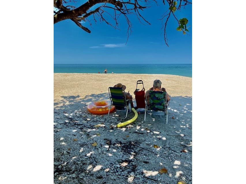 44 77th Avenue Treasure Island FL 33706 TB8392452 image42