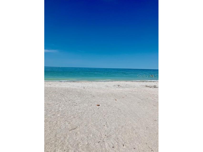 44 77th Avenue Treasure Island FL 33706 TB8392452 image47