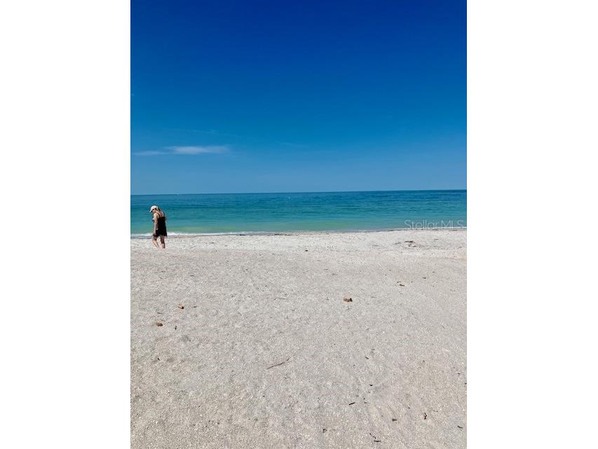 44 77th Avenue Treasure Island FL 33706 TB8392452 image48