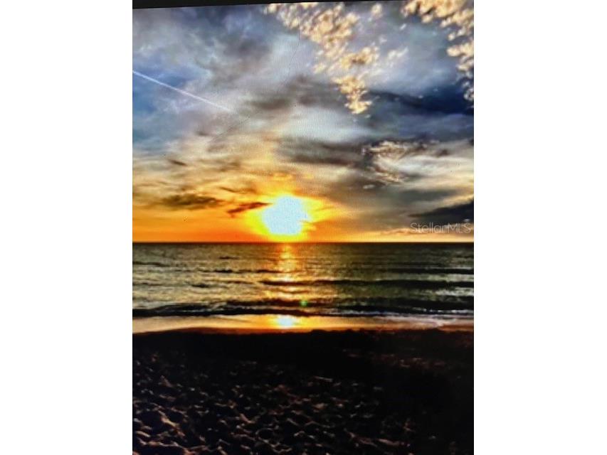 44 77th Avenue Treasure Island FL 33706 TB8392452 image49