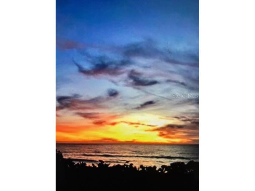 44 77th Avenue Treasure Island FL 33706 TB8392452 image50