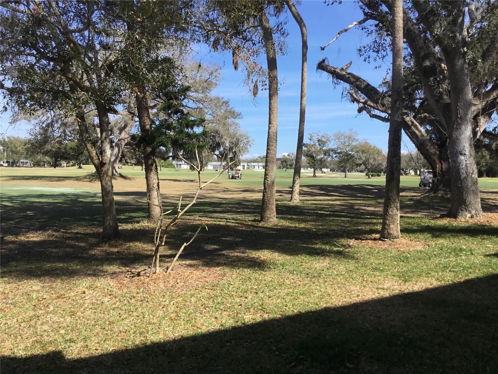 44 Country Club Drive #44 Largo FL 33771 TB8471341 image29