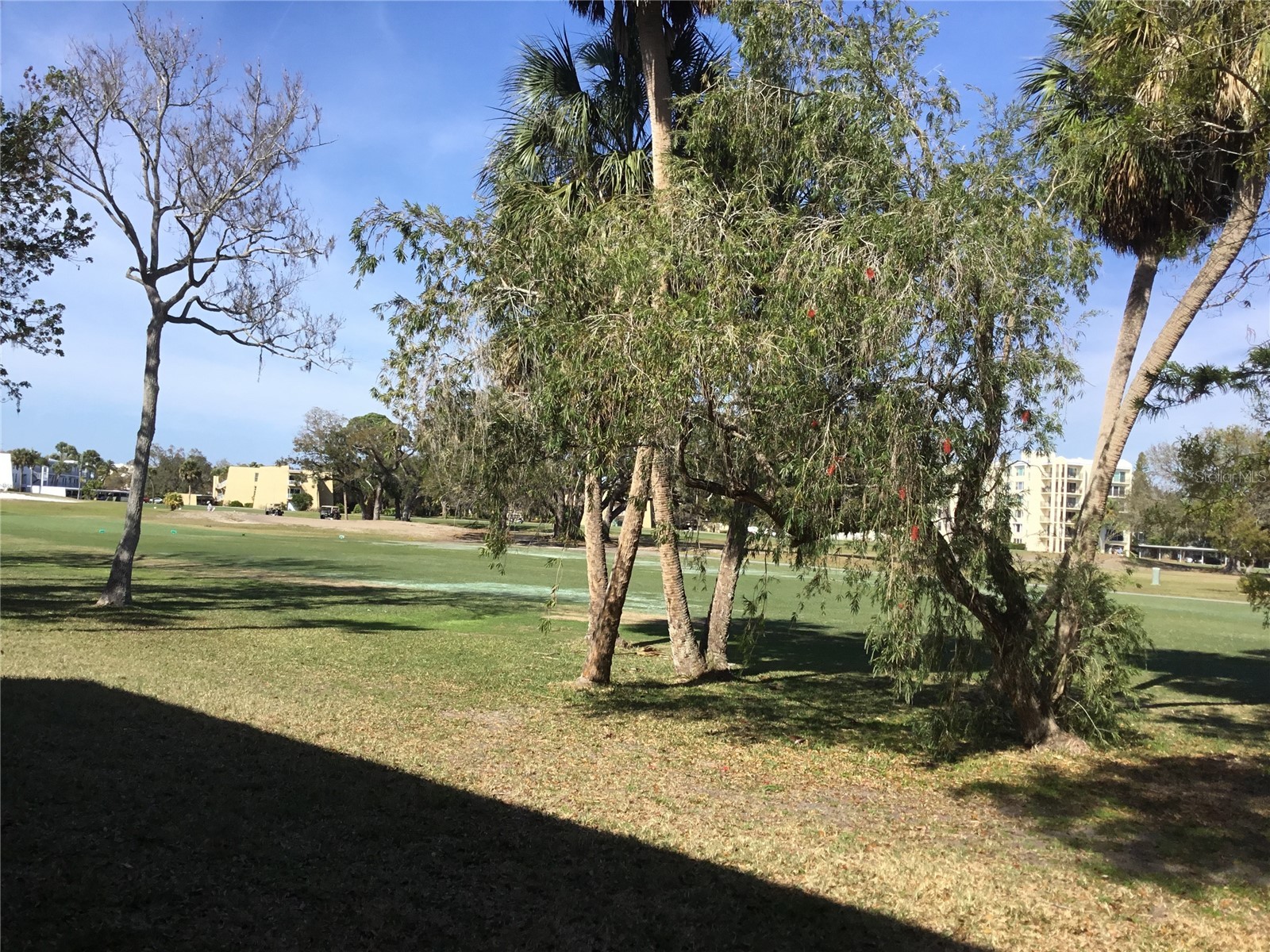 44 Country Club Drive #44 Largo FL 33771 TB8471341 image30