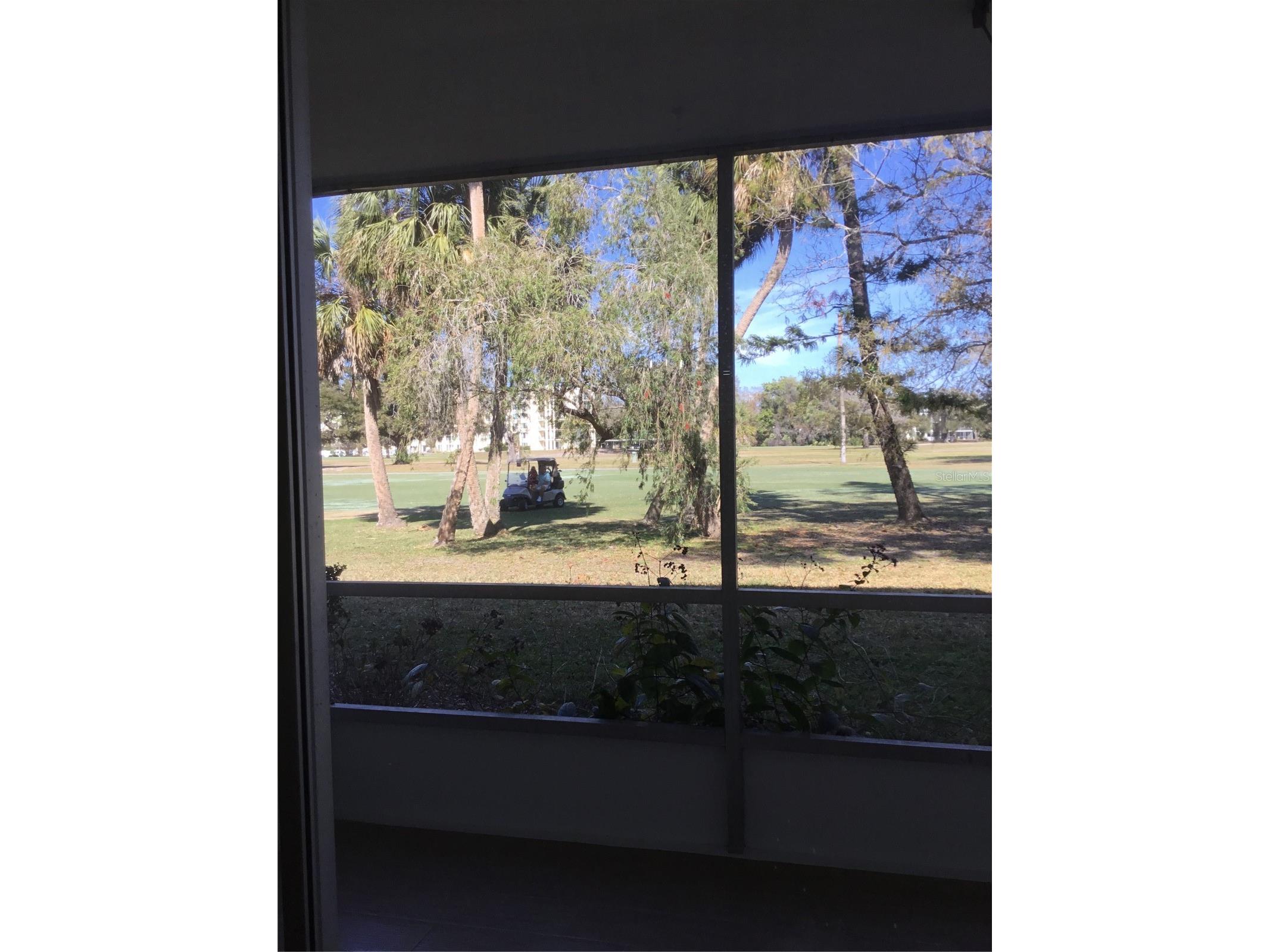44 Country Club Drive #44 Largo FL 33771 TB8471341 image31