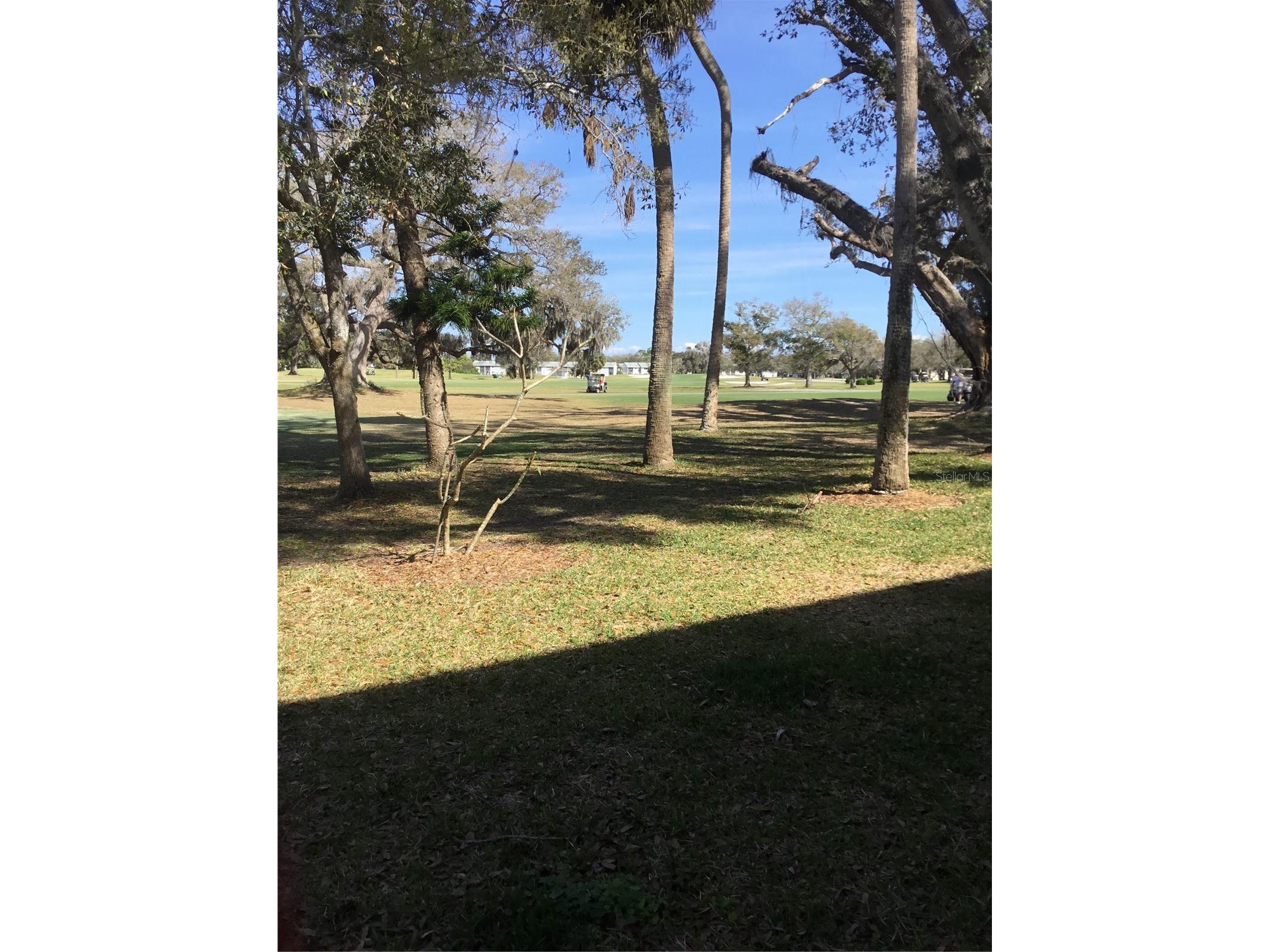 44 Country Club Drive #44 Largo FL 33771 TB8471341 image32