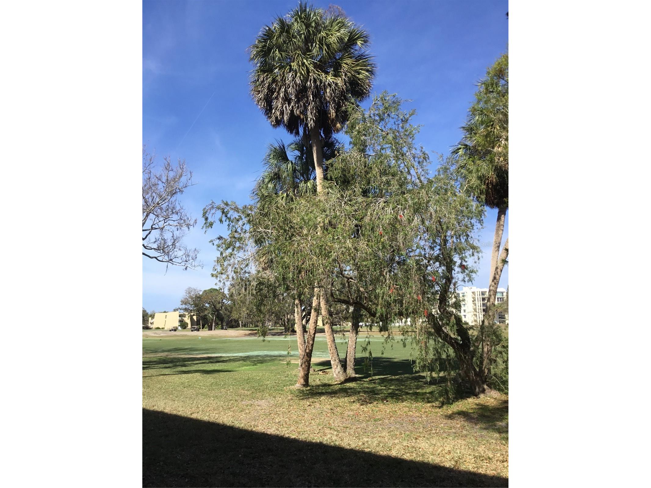 44 Country Club Drive #44 Largo FL 33771 TB8471341 image33