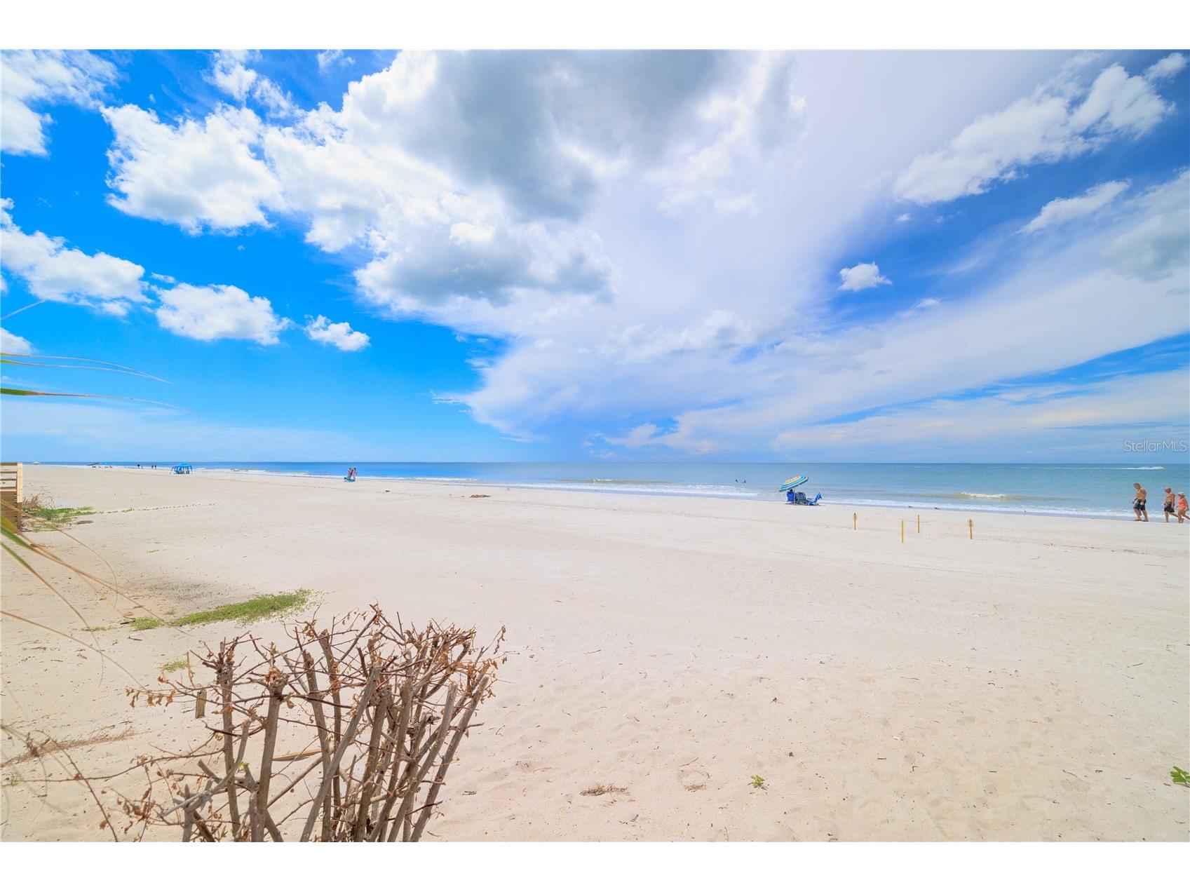 44 Gulf Boulevard #204 Indian Rocks Beach FL 33785 TB8415408 image13