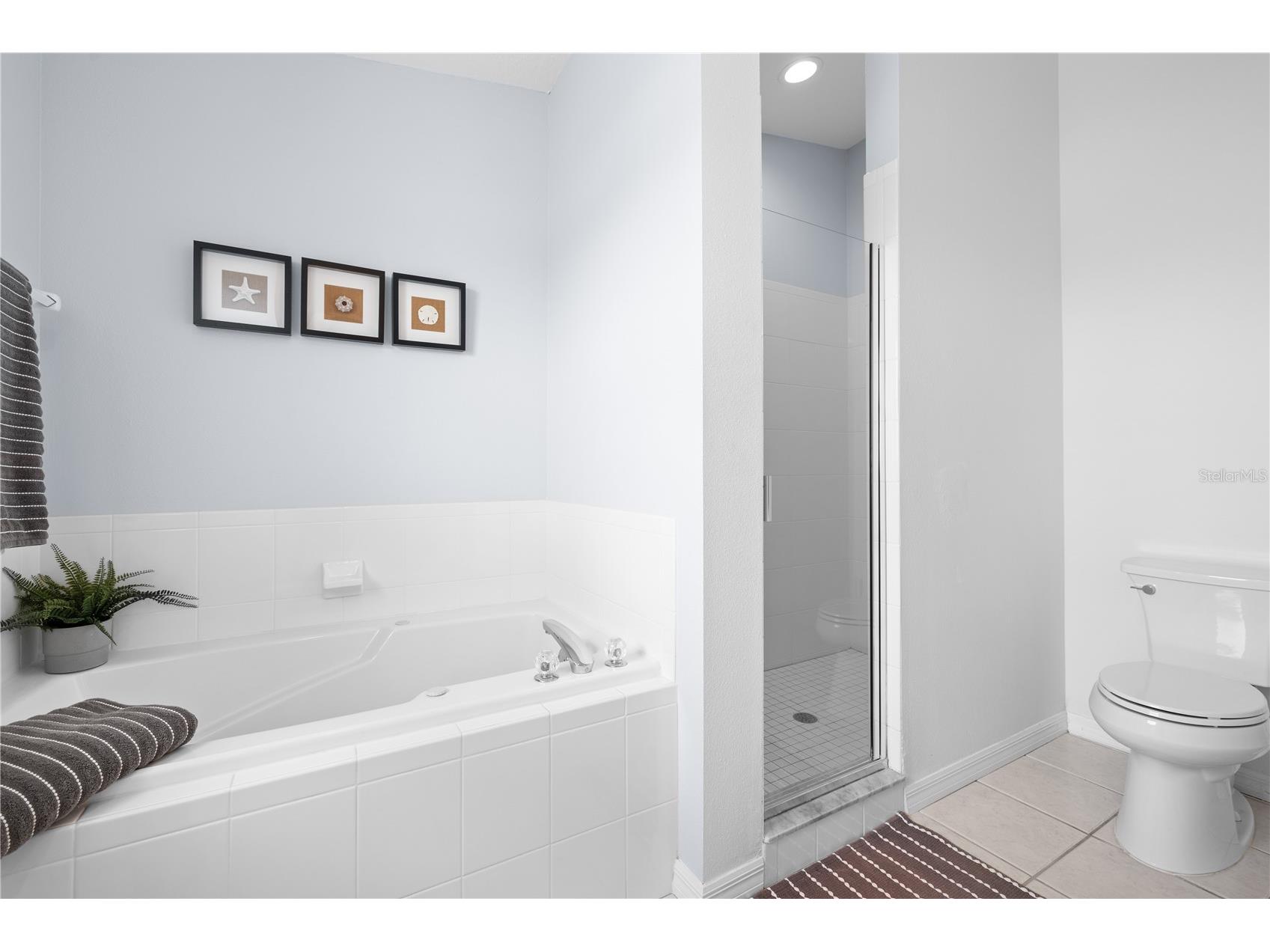 44 Gulf Boulevard #204 Indian Rocks Beach FL 33785 TB8415408 image37