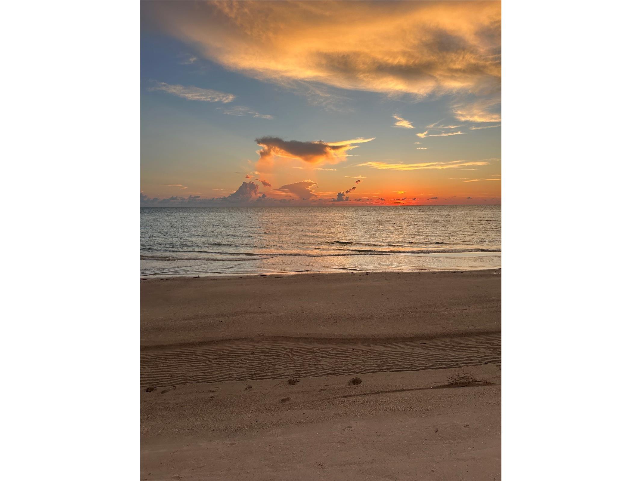 44 Gulf Boulevard #204 Indian Rocks Beach FL 33785 TB8415408 image47