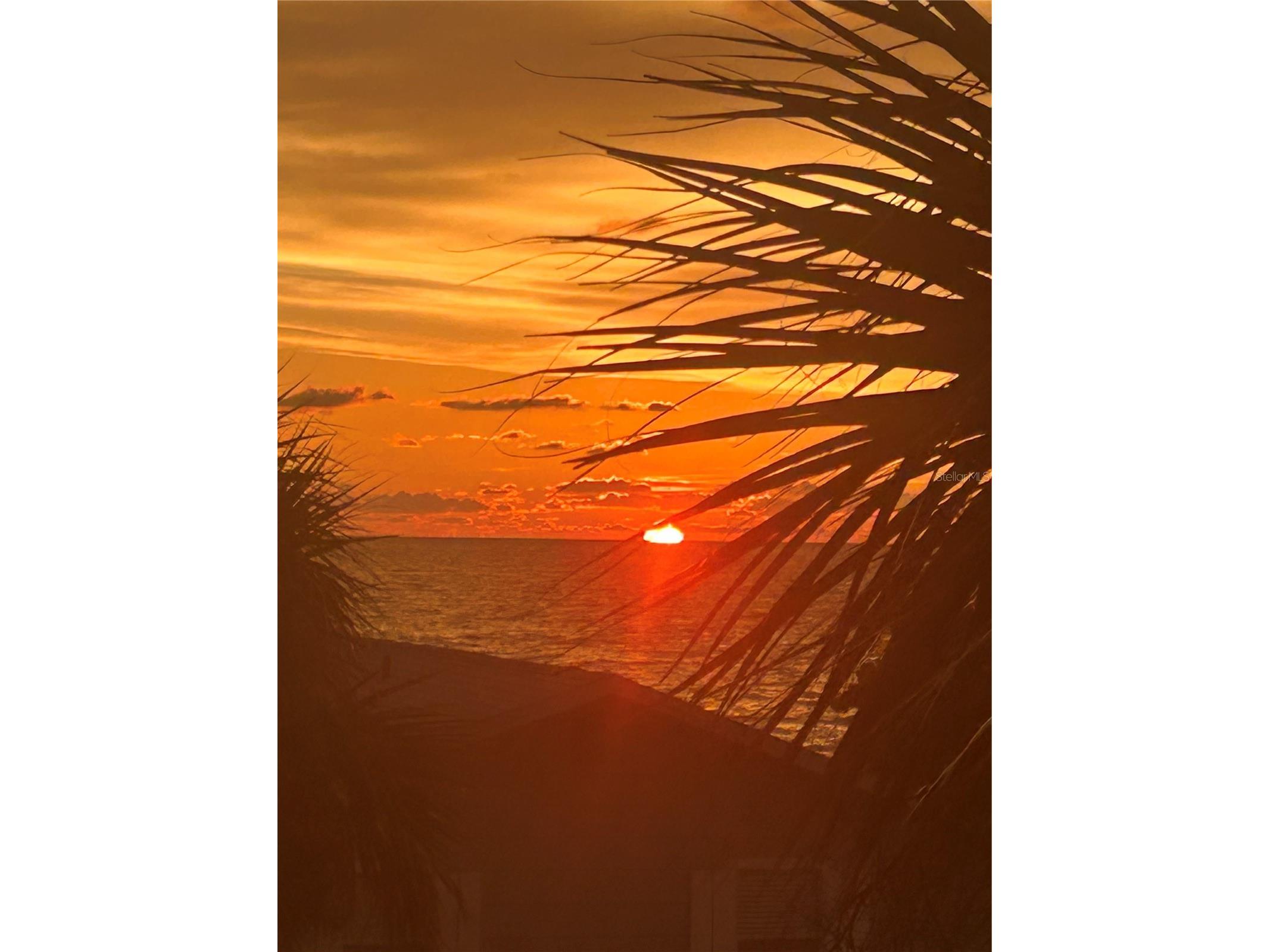 44 Gulf Boulevard #204 Indian Rocks Beach FL 33785 TB8415408 image48