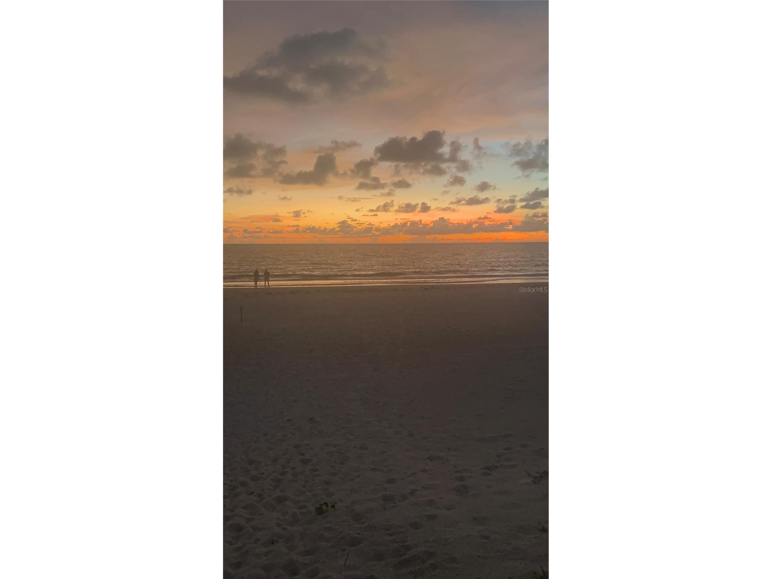 44 Gulf Boulevard #204 Indian Rocks Beach FL 33785 TB8415408 image49