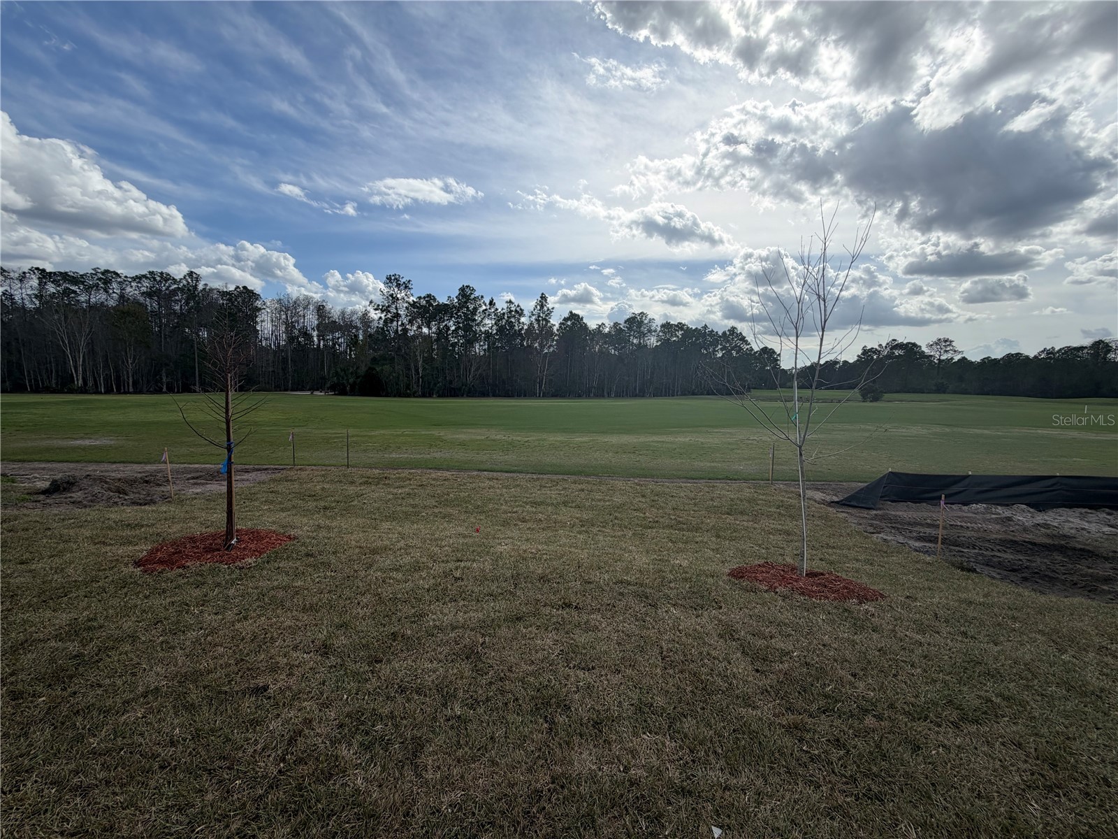 44 Mulligan Way Bunnell FL 32110 FC315709 image37