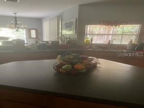 44 Pinetree Drive Palm Coast FL 32164 FC311768 image20