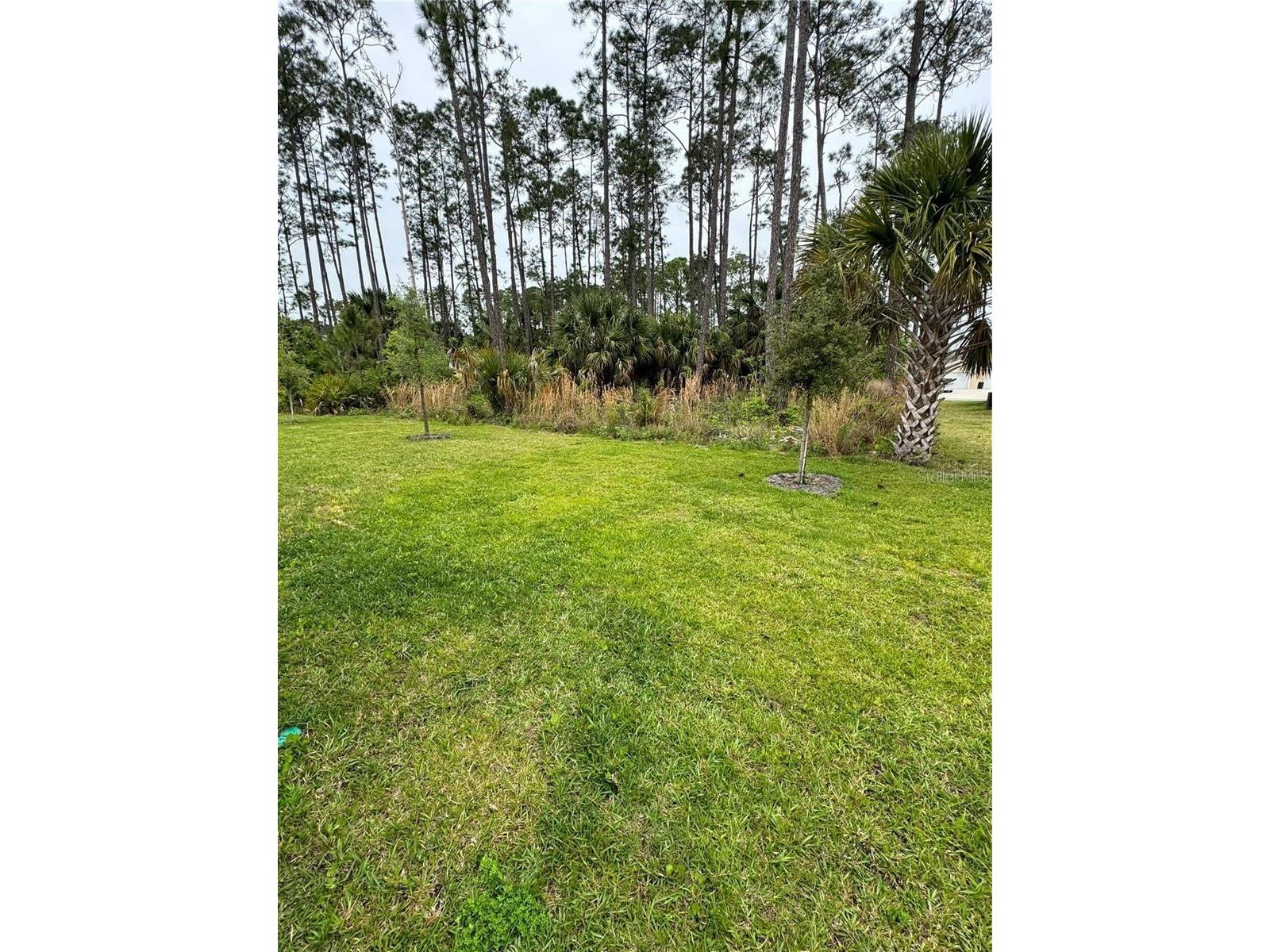 44 Red Mill Drive #B Palm Coast FL 32164 FC316560 image16