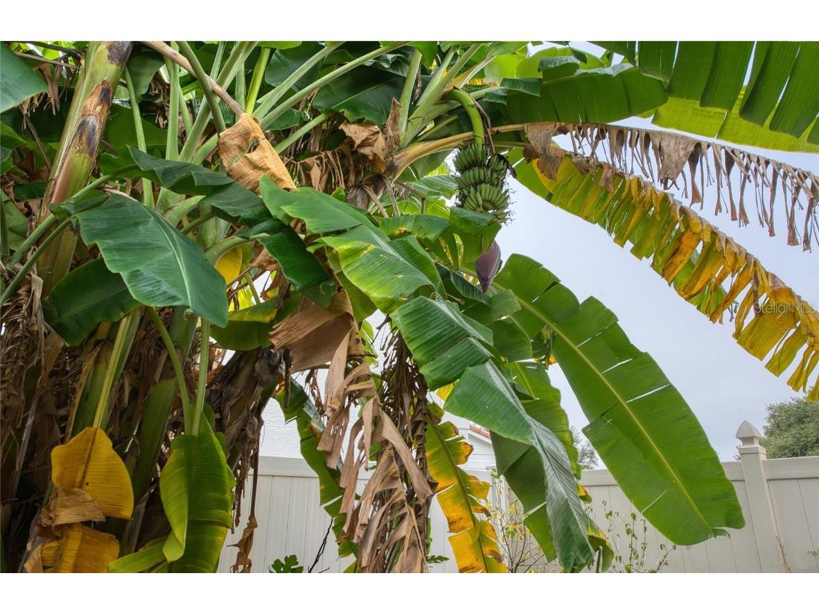 44 Ridgecroft Lane Safety Harbor FL 34695 W7880322 image50