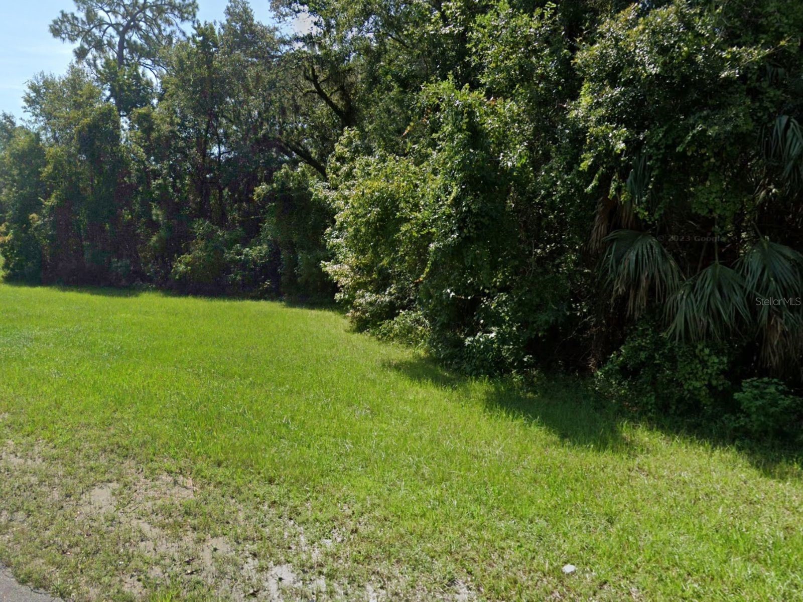 44 W Sr 44 New York Avenue Deland FL 32720 O6401683 image2
