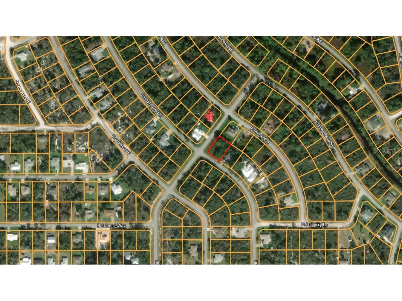 440 Garfield Avenue NE Lake Placid FL 33852 TB8474104 image2