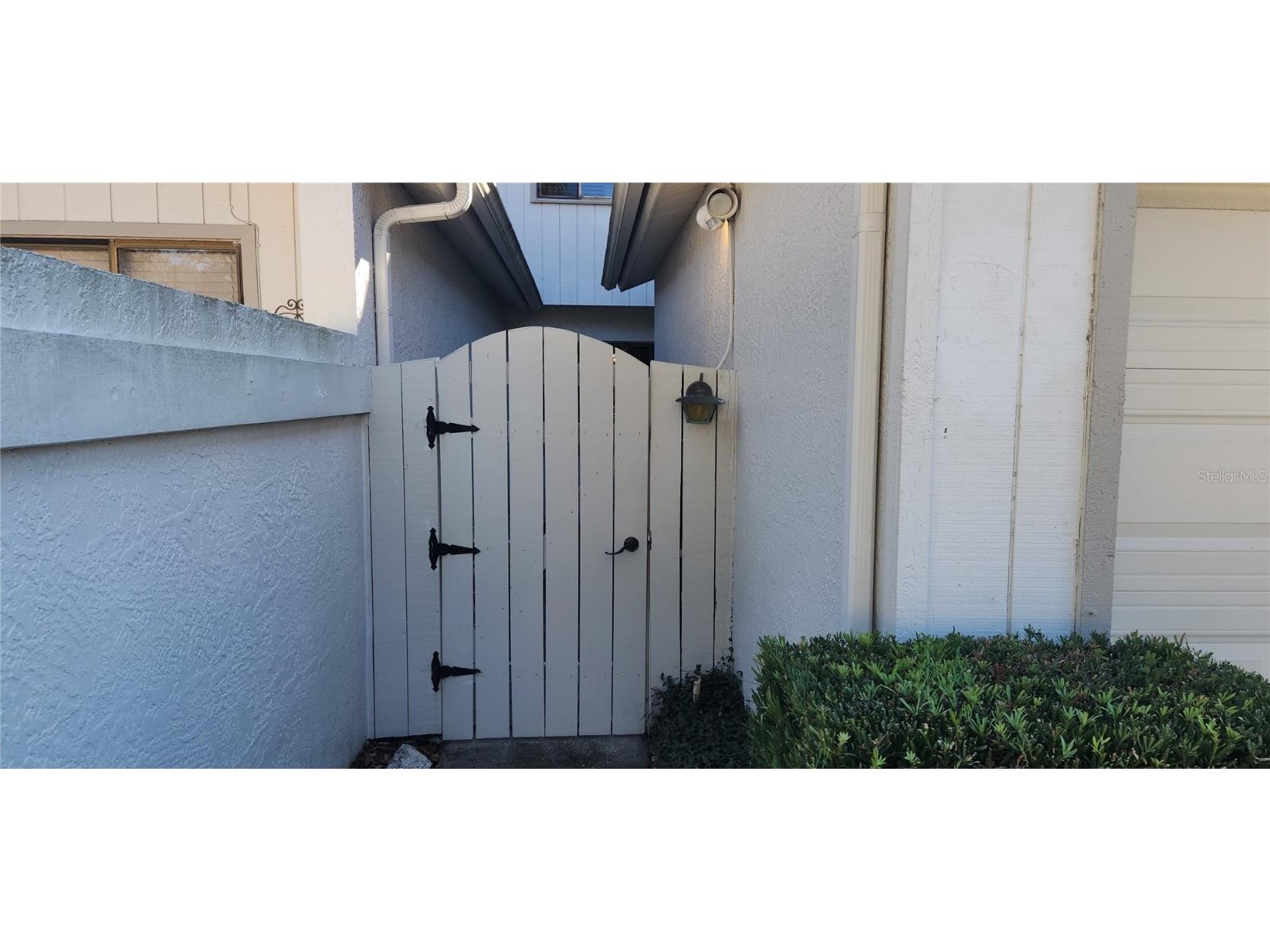 440 Lakeview Dr #33 Palm Harbor FL 34683 TB8342687 image10